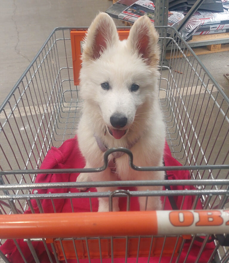 Alltagstraining Juxx