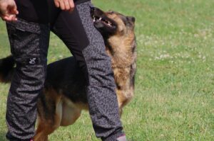 Hela und Katharina beim Training