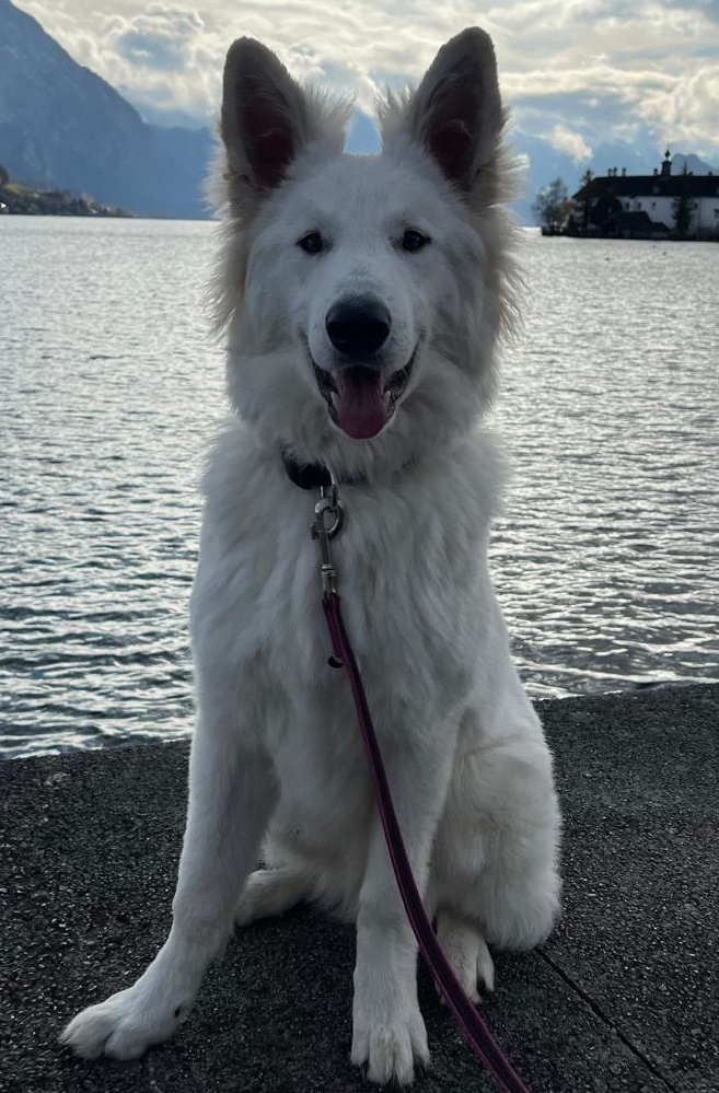 Spannender Ausblick mit Juxx